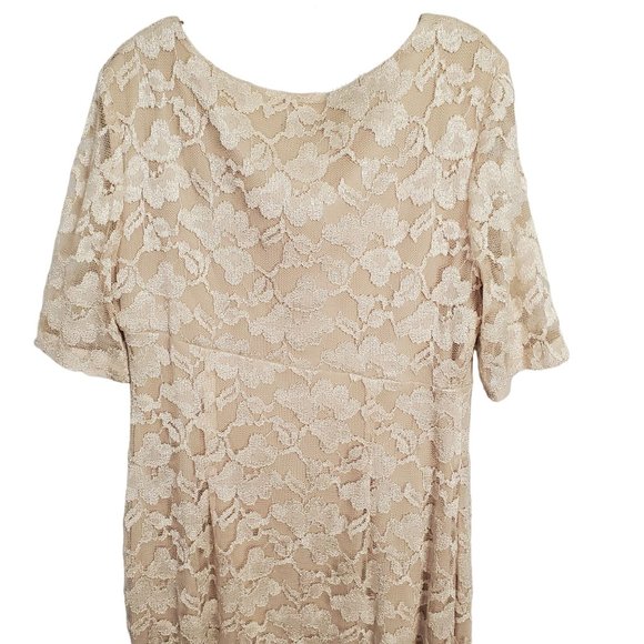 Connected Size 16 Dress Lace Overlay Lined Stretch Faux Wrap Cocktail Champagne - Picture 3 of 12